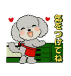 ふわふわトイプーさん達のスタンプ♡夏編（個別スタンプ：7）