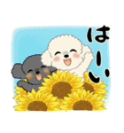 ふわふわトイプーさん達のスタンプ♡夏編（個別スタンプ：11）
