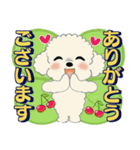 ふわふわトイプーさん達のスタンプ♡夏編（個別スタンプ：14）