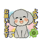 ふわふわトイプーさん達のスタンプ♡夏編（個別スタンプ：16）