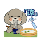 ふわふわトイプーさん達のスタンプ♡夏編（個別スタンプ：22）