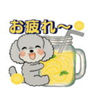 ふわふわトイプーさん達のスタンプ♡夏編（個別スタンプ：25）