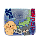 ふわふわトイプーさん達のスタンプ♡夏編（個別スタンプ：36）
