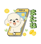 ふわふわトイプーさん達のスタンプ♡夏編（個別スタンプ：39）