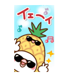毎日しろちゃん18♥BIG（個別スタンプ：24）