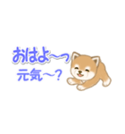 よちよち豆柴 省スペース♪可愛い毎日（個別スタンプ：2）