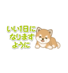 よちよち豆柴 省スペース♪可愛い毎日（個別スタンプ：3）