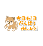 よちよち豆柴 省スペース♪可愛い毎日（個別スタンプ：4）