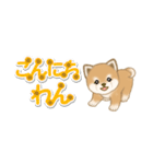 よちよち豆柴 省スペース♪可愛い毎日（個別スタンプ：5）