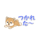 よちよち豆柴 省スペース♪可愛い毎日（個別スタンプ：13）
