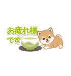 よちよち豆柴 省スペース♪可愛い毎日（個別スタンプ：14）