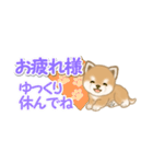 よちよち豆柴 省スペース♪可愛い毎日（個別スタンプ：15）