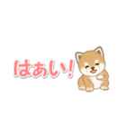 よちよち豆柴 省スペース♪可愛い毎日（個別スタンプ：17）