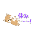 よちよち豆柴 省スペース♪可愛い毎日（個別スタンプ：21）