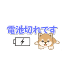 よちよち豆柴 省スペース♪可愛い毎日（個別スタンプ：22）