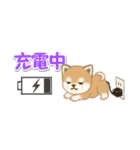 よちよち豆柴 省スペース♪可愛い毎日（個別スタンプ：23）