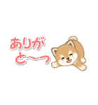 よちよち豆柴 省スペース♪可愛い毎日（個別スタンプ：25）