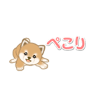 よちよち豆柴 省スペース♪可愛い毎日（個別スタンプ：30）