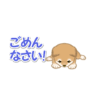 よちよち豆柴 省スペース♪可愛い毎日（個別スタンプ：31）