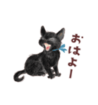 毎日使える3匹の猫たちのスタンプ（個別スタンプ：1）