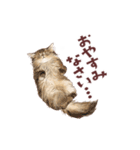 毎日使える3匹の猫たちのスタンプ（個別スタンプ：2）
