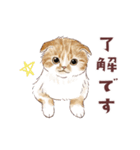 毎日使える3匹の猫たちのスタンプ（個別スタンプ：3）