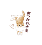 毎日使える3匹の猫たちのスタンプ（個別スタンプ：7）