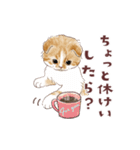 毎日使える3匹の猫たちのスタンプ（個別スタンプ：9）