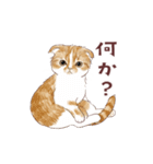 毎日使える3匹の猫たちのスタンプ（個別スタンプ：11）