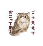 毎日使える3匹の猫たちのスタンプ（個別スタンプ：17）