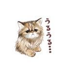 毎日使える3匹の猫たちのスタンプ（個別スタンプ：18）