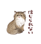 毎日使える3匹の猫たちのスタンプ（個別スタンプ：19）