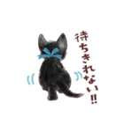 毎日使える3匹の猫たちのスタンプ（個別スタンプ：24）