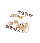 毎日使える3匹の猫たちのスタンプ（個別スタンプ：29）