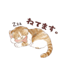 毎日使える3匹の猫たちのスタンプ（個別スタンプ：30）