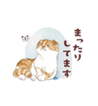 毎日使える3匹の猫たちのスタンプ（個別スタンプ：31）