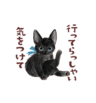 毎日使える3匹の猫たちのスタンプ（個別スタンプ：34）