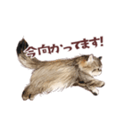 毎日使える3匹の猫たちのスタンプ（個別スタンプ：35）