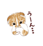 毎日使える3匹の猫たちのスタンプ（個別スタンプ：37）