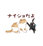 毎日使える3匹の猫たちのスタンプ（個別スタンプ：39）