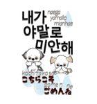 【Big】シーズー犬39『韓国語＆日本語』（個別スタンプ：40）