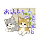 夏～秋 もこもこ猫ちゃんズ（個別スタンプ：1）