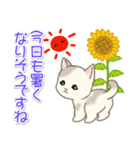 夏～秋 もこもこ猫ちゃんズ（個別スタンプ：2）