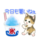 夏～秋 もこもこ猫ちゃんズ（個別スタンプ：3）