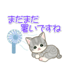 夏～秋 もこもこ猫ちゃんズ（個別スタンプ：5）