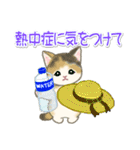 夏～秋 もこもこ猫ちゃんズ（個別スタンプ：7）
