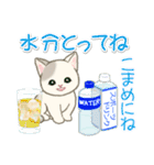 夏～秋 もこもこ猫ちゃんズ（個別スタンプ：8）
