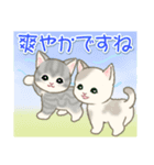 夏～秋 もこもこ猫ちゃんズ（個別スタンプ：13）
