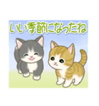 夏～秋 もこもこ猫ちゃんズ（個別スタンプ：14）