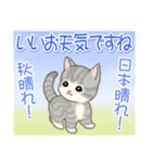 夏～秋 もこもこ猫ちゃんズ（個別スタンプ：15）